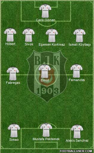 Besiktas JK Formation 2011