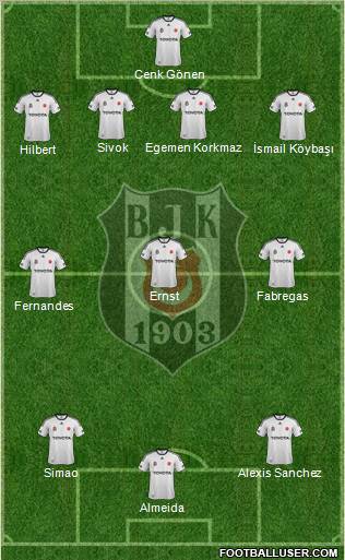 Besiktas JK Formation 2011