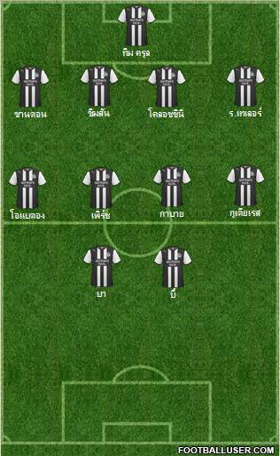 Newcastle United Formation 2011