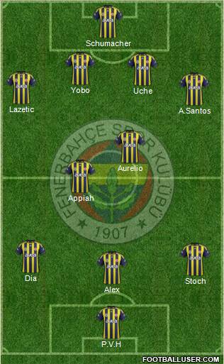 Fenerbahçe SK Formation 2011