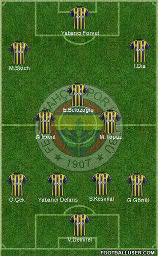 Fenerbahçe SK Formation 2011