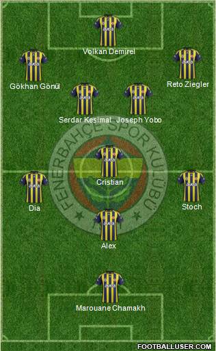 Fenerbahçe SK Formation 2011