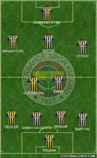 Fenerbahçe SK Formation 2011