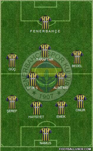 Fenerbahçe SK Formation 2011