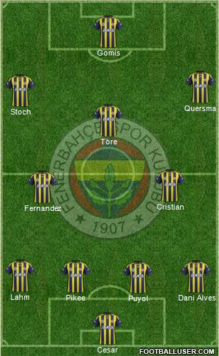 Fenerbahçe SK Formation 2011