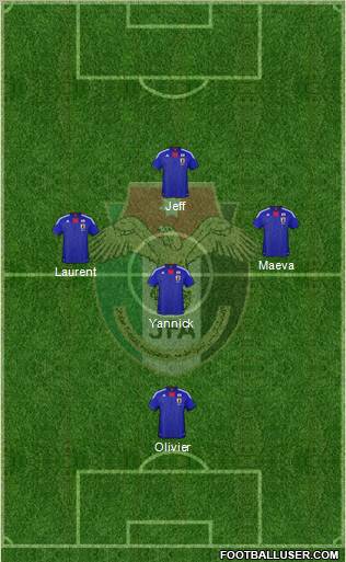 Japan Formation 2011