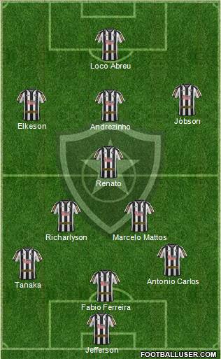 Botafogo FR Formation 2011