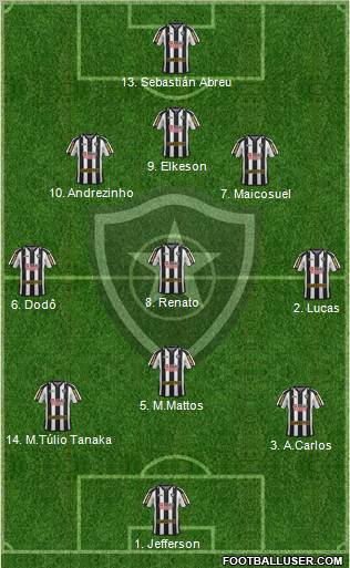 Botafogo FR Formation 2011