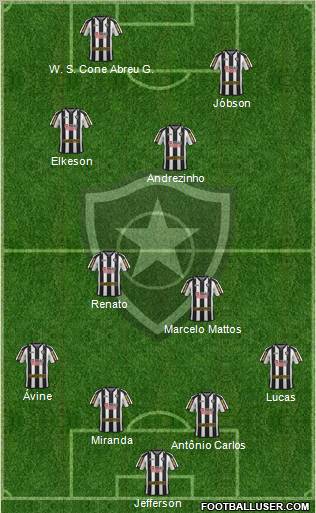 Botafogo FR Formation 2011