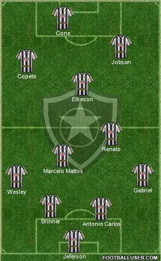 Botafogo FR Formation 2011