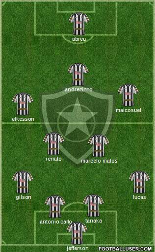 Botafogo FR Formation 2011