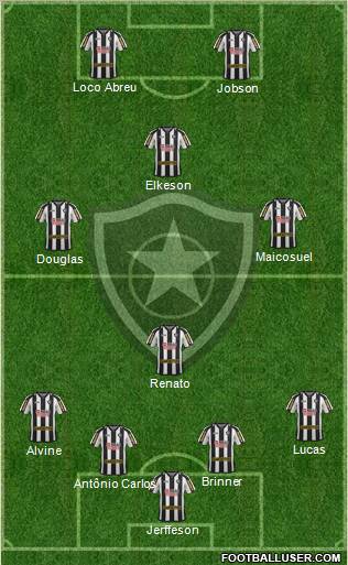 Botafogo FR Formation 2011