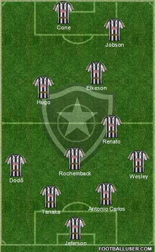 Botafogo FR Formation 2011