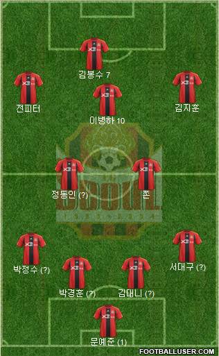 FC Seoul Formation 2011
