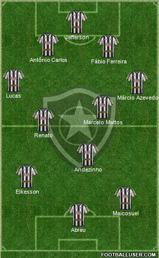 Botafogo FR Formation 2011
