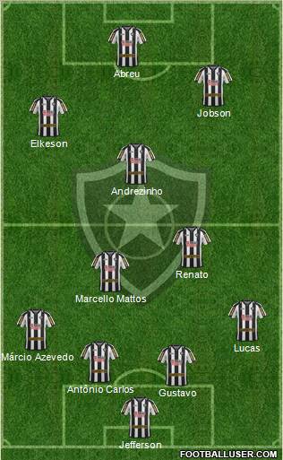 Botafogo FR Formation 2011