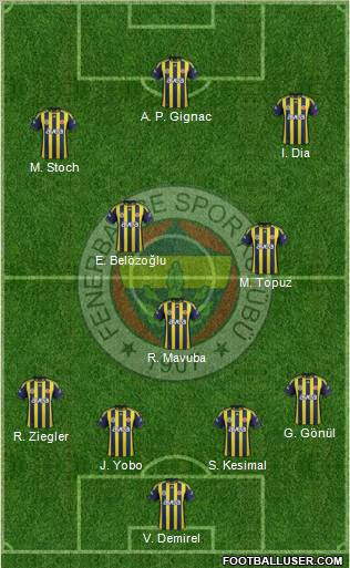 Fenerbahçe SK Formation 2011