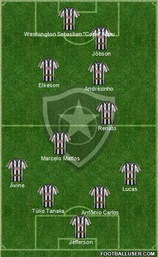 Botafogo FR Formation 2011
