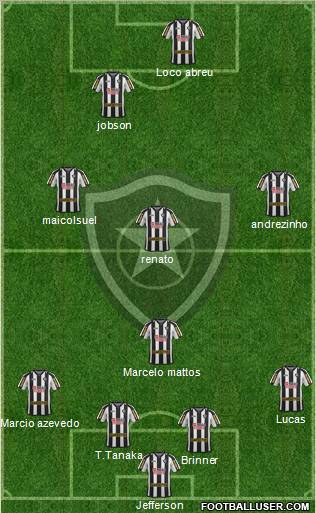 Botafogo FR Formation 2011