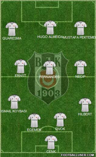 Besiktas JK Formation 2011
