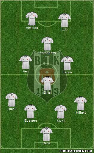 Besiktas JK Formation 2011