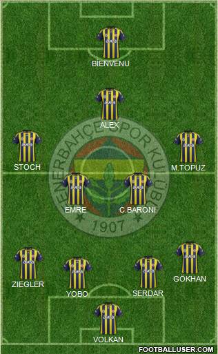 Fenerbahçe SK Formation 2011