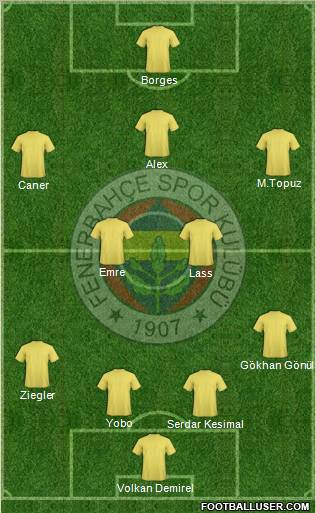Fenerbahçe SK Formation 2011