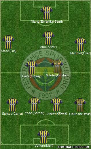 Fenerbahçe SK Formation 2011