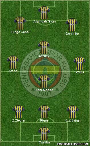 Fenerbahçe SK Formation 2011