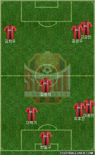 FC Seoul Formation 2011