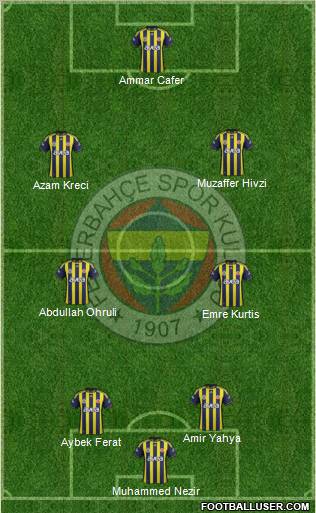Fenerbahçe SK Formation 2011