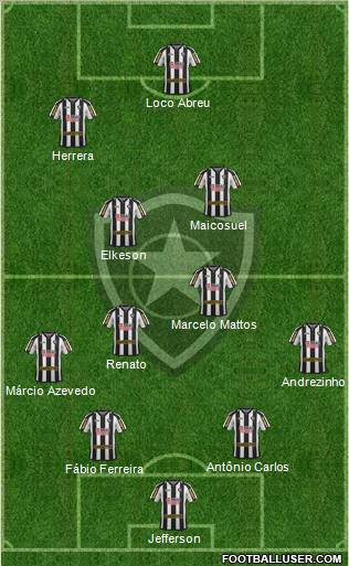 Botafogo FR Formation 2011