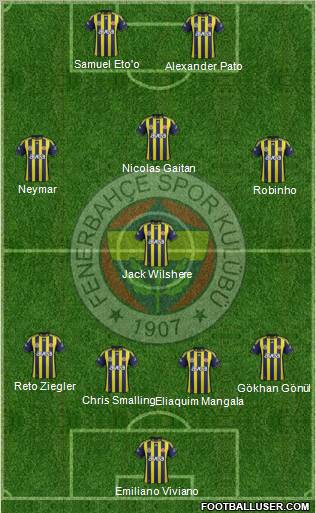 Fenerbahçe SK Formation 2011