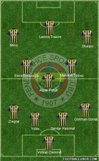 Fenerbahçe SK Formation 2011