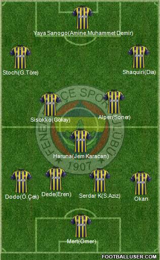 Fenerbahçe SK Formation 2011