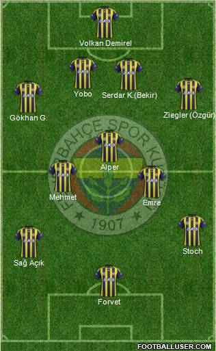 Fenerbahçe SK Formation 2011