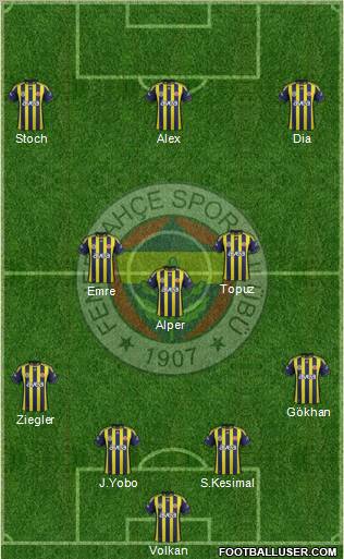 Fenerbahçe SK Formation 2011