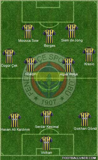 Fenerbahçe SK Formation 2011