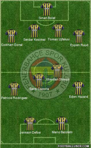 Fenerbahçe SK Formation 2011