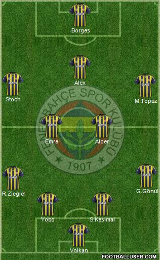 Fenerbahçe SK Formation 2011