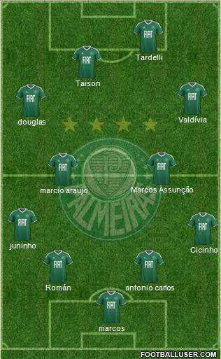 SE Palmeiras Formation 2011