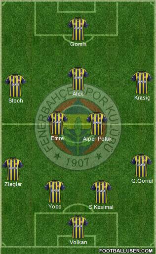 Fenerbahçe SK Formation 2011