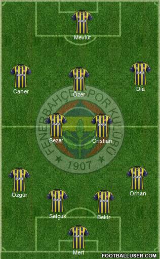 Fenerbahçe SK Formation 2011