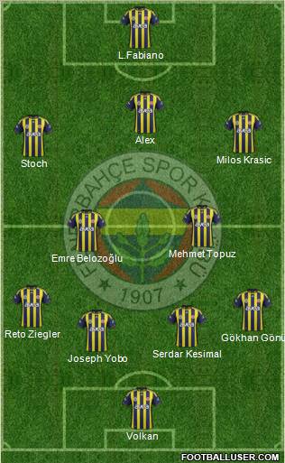 Fenerbahçe SK Formation 2011