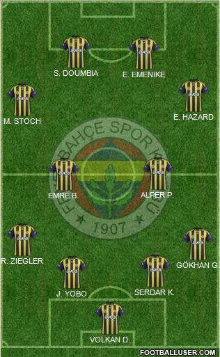 Fenerbahçe SK Formation 2011