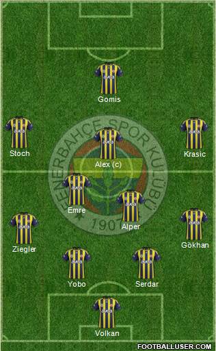 Fenerbahçe SK Formation 2011