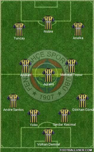 Fenerbahçe SK Formation 2011