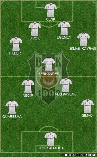 Besiktas JK Formation 2011