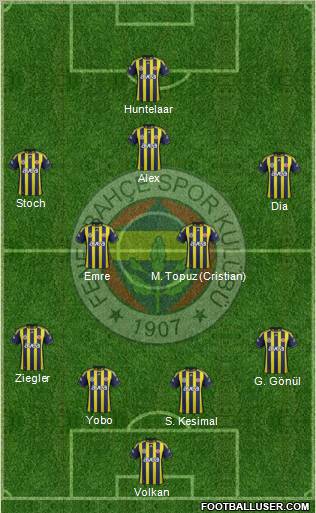 Fenerbahçe SK Formation 2012