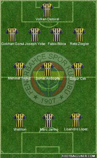 Fenerbahçe SK Formation 2012